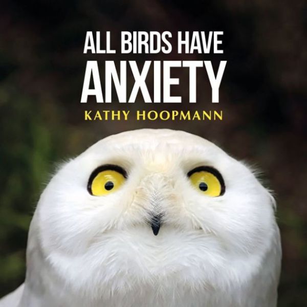 all-birds-have-anxietyAE4F3BBD-D2D8-FD7E-B780-72415F559030.jpg