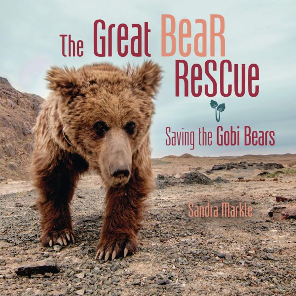 thegreatbearrescue7DCDBB96-5C6A-9F1F-4E21-6774B56CBF4D.jpg