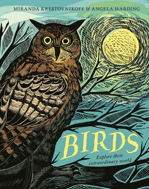 birds-explore-their-extraordinary0FC1CDB3-888B-9C94-746C-A23302127C76.jpg