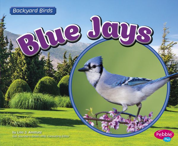 blue-jays9880F695-9F18-F043-BEC2-CF241021DAF8.jpg