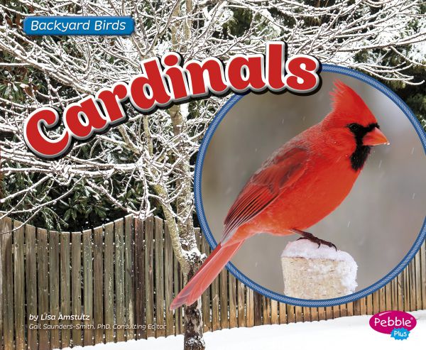cardinals70035389-4EB3-AD8F-79CA-10C4D08B05CD.jpg