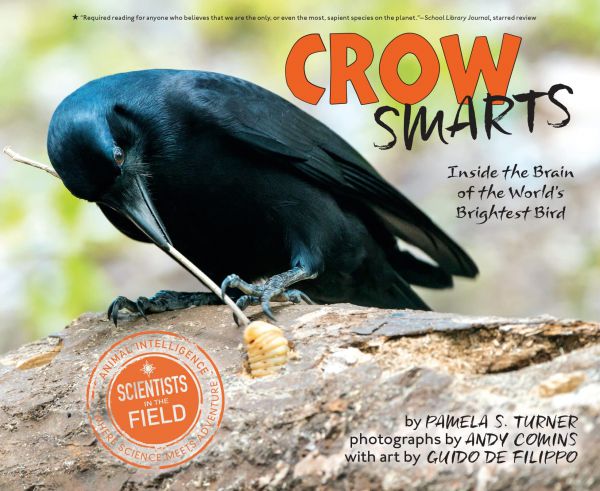 crow-smarts1B0E052C-4A39-D0F7-7173-1FE0D112DD34.jpg