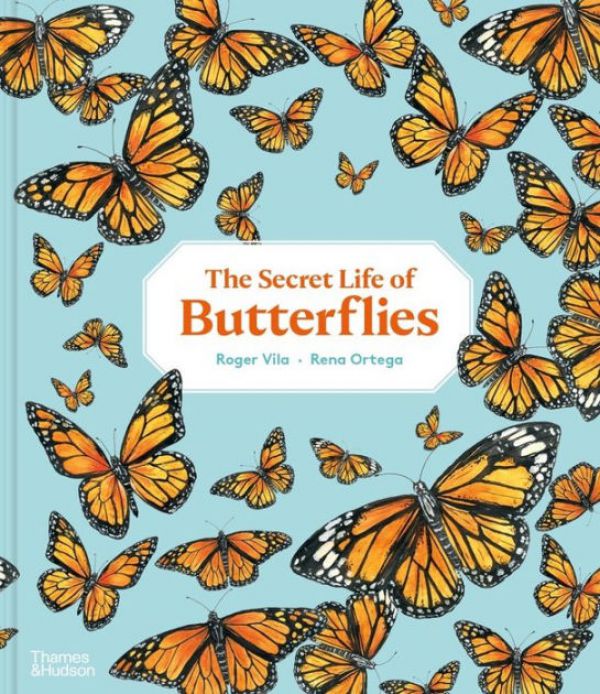 secret-life-of-butterfliesE7E23795-F350-444D-F94B-343237DA04A2.jpg