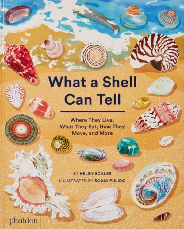 what-a-shellC2560C57-5F8A-8379-6FB8-BF938B10F574.jpg