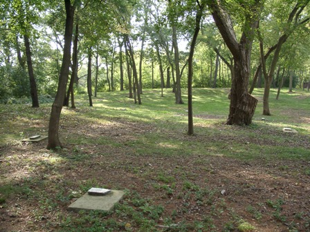 Old Plum Grove Cemetery