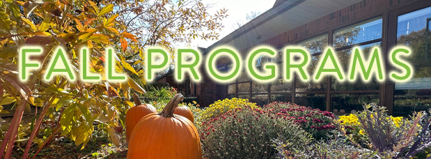 Photograph of library exterior, windows of meeting room visible, blue sky, pumpkin, mum plants, and other foliage in the foreground, text reads FALL PROGRAMS, LINK to upcoming programs