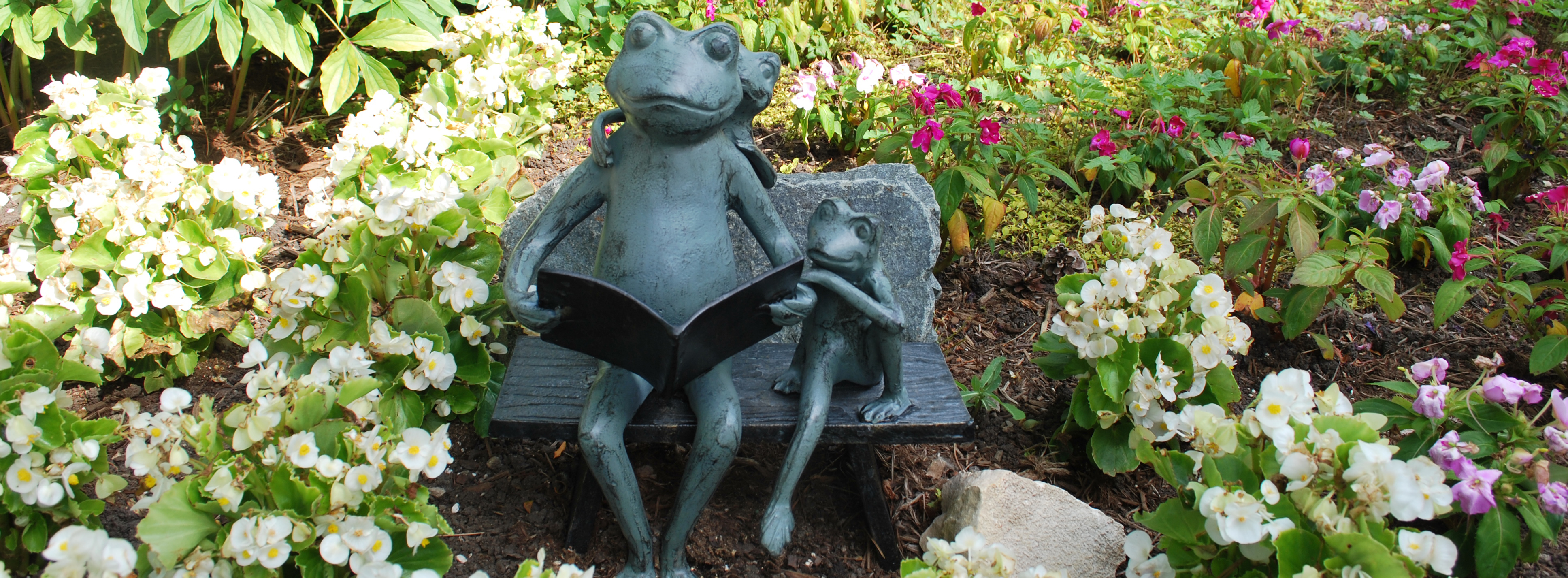 Photograph of statue of two frogs reading a book, outside in the Library gardens
